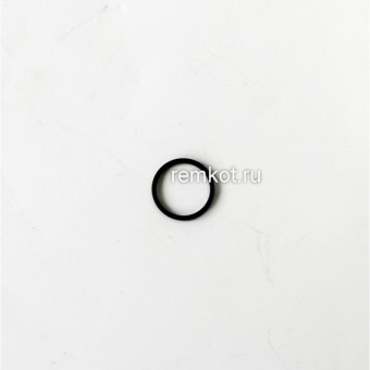 Кольцо уплотнительное (ТО осн. металл) BH2507438A (20018744B)